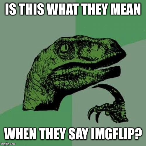 Philosoraptor Meme | IS THIS WHAT THEY MEAN WHEN THEY SAY IMGFLIP? | image tagged in memes,philosoraptor | made w/ Imgflip meme maker