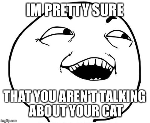 IM PRETTY SURE THAT YOU AREN'T TALKING ABOUT YOUR CAT | made w/ Imgflip meme maker