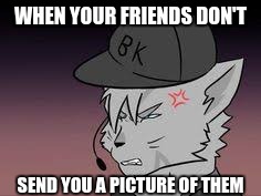 Jayfeather's Friends (fixed) | WHEN YOUR FRIENDS DON'T; SEND YOU A PICTURE OF THEM | image tagged in friends | made w/ Imgflip meme maker