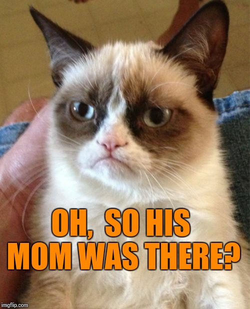 Grumpy Cat Meme | OH,  SO HIS MOM WAS THERE? | image tagged in memes,grumpy cat | made w/ Imgflip meme maker