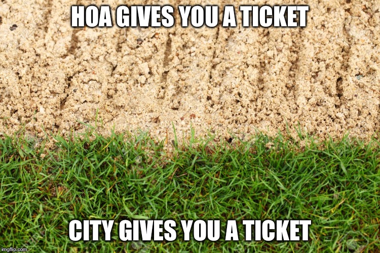 HOA GIVES YOU A TICKET; CITY GIVES YOU A TICKET | image tagged in lawn | made w/ Imgflip meme maker
