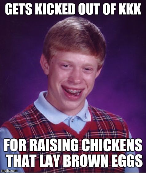 Bad Luck Brian | GETS KICKED OUT OF KKK; FOR RAISING CHICKENS THAT LAY BROWN EGGS | image tagged in memes,bad luck brian | made w/ Imgflip meme maker