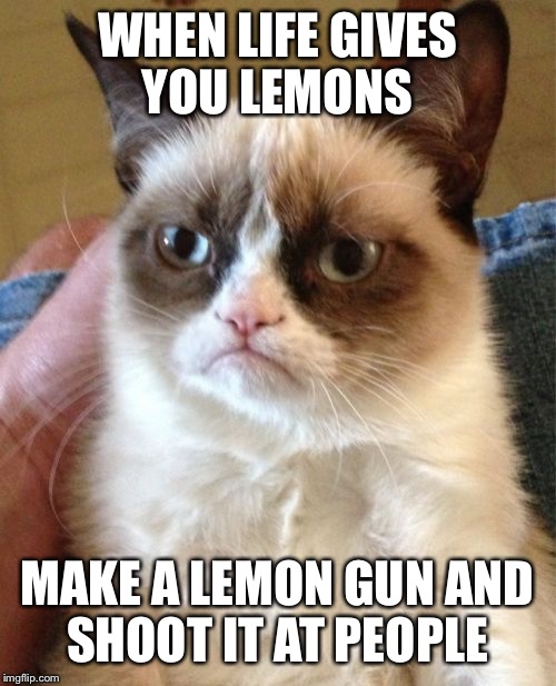 Grumpy Cat Meme | WHEN LIFE GIVES YOU LEMONS; MAKE A LEMON GUN AND SHOOT IT AT PEOPLE | image tagged in memes,grumpy cat | made w/ Imgflip meme maker