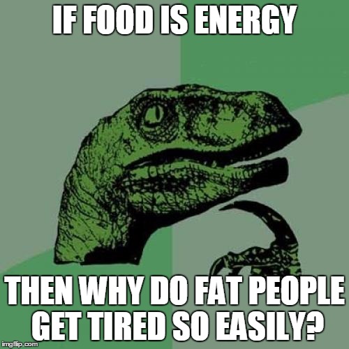 Philosoraptor Meme | IF FOOD IS ENERGY; THEN WHY DO FAT PEOPLE GET TIRED SO EASILY? | image tagged in memes,philosoraptor | made w/ Imgflip meme maker