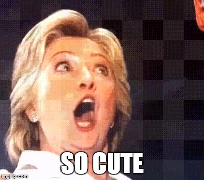 Hillary | SO CUTE | image tagged in hillary | made w/ Imgflip meme maker