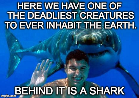 Sharks created the 'week' theme. | HERE WE HAVE ONE OF THE DEADLIEST CREATURES TO EVER INHABIT THE EARTH. BEHIND IT IS A SHARK | image tagged in shark,shark week,bacon,human | made w/ Imgflip meme maker