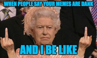 thats my queen | WHEN PEOPLE SAY YOUR MEMES ARE DANK; AND I BE LIKE | image tagged in funny,dank memes,middle finger | made w/ Imgflip meme maker
