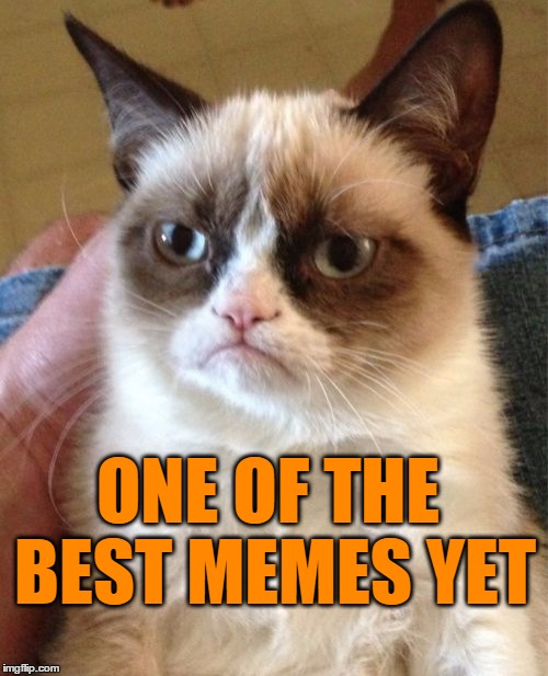 Grumpy Cat Meme | ONE OF THE BEST MEMES YET | image tagged in memes,grumpy cat | made w/ Imgflip meme maker