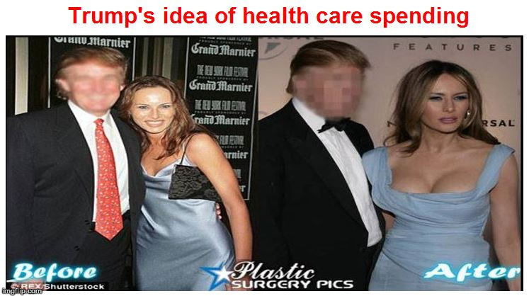 image tagged in melania health care spending | made w/ Imgflip meme maker