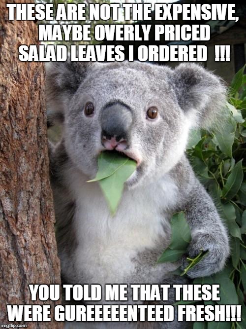 Surprised Koala | THESE ARE NOT THE EXPENSIVE, MAYBE OVERLY PRICED SALAD LEAVES I ORDERED  !!! YOU TOLD ME THAT THESE WERE GUREEEEENTEED FRESH!!! | image tagged in memes,surprised koala | made w/ Imgflip meme maker