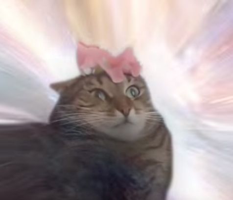 High Quality Cat Flower On Head Blank Meme Template