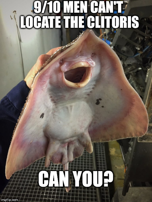 What The Fish | 9/10 MEN CAN'T LOCATE THE CLITORIS; CAN YOU? | image tagged in what the fish | made w/ Imgflip meme maker