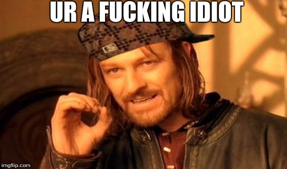 One Does Not Simply Meme | UR A FUCKING IDIOT | image tagged in memes,one does not simply,scumbag | made w/ Imgflip meme maker