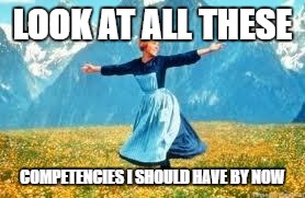Look At All These | LOOK AT ALL THESE; COMPETENCIES I SHOULD HAVE BY NOW | image tagged in memes,look at all these | made w/ Imgflip meme maker