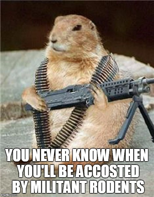 YOU NEVER KNOW WHEN YOU'LL BE ACCOSTED BY MILITANT RODENTS | made w/ Imgflip meme maker