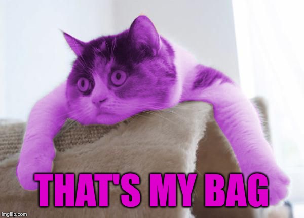 RayCat Stare | THAT'S MY BAG | image tagged in raycat stare | made w/ Imgflip meme maker