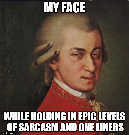 Mozart Not Sure Meme | MY FACE; WHILE HOLDING IN EPIC LEVELS OF SARCASM AND ONE LINERS | image tagged in memes,mozart not sure | made w/ Imgflip meme maker