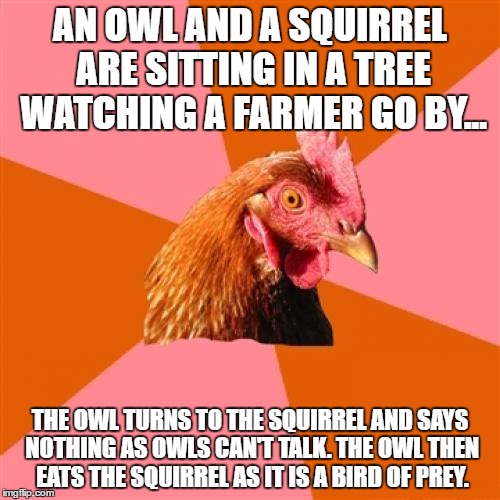 Anti Joke Chicken Meme | AN OWL AND A SQUIRREL ARE SITTING IN A TREE WATCHING A FARMER GO BY... THE OWL TURNS TO THE SQUIRREL AND SAYS NOTHING AS OWLS CAN'T TALK. THE OWL THEN EATS THE SQUIRREL AS IT IS A BIRD OF PREY. | image tagged in memes,anti joke chicken | made w/ Imgflip meme maker
