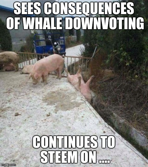SEES CONSEQUENCES OF WHALE DOWNVOTING; CONTINUES TO STEEM ON .... | made w/ Imgflip meme maker
