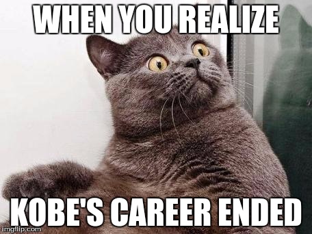 Surprised cat | WHEN YOU REALIZE; KOBE'S CAREER ENDED | image tagged in surprised cat | made w/ Imgflip meme maker