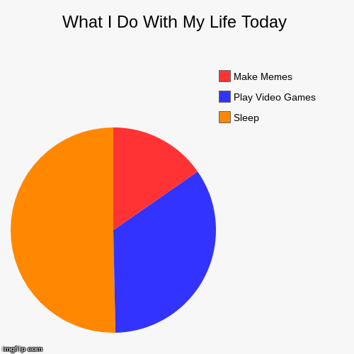 My Life | image tagged in funny,pie charts | made w/ Imgflip chart maker