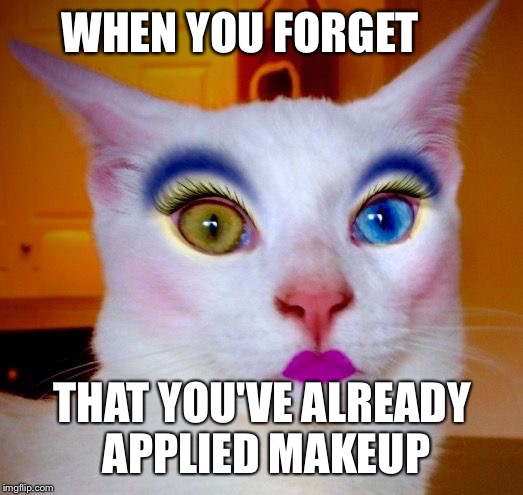 Makeup cat WHEN YOU FORGET; THAT YOU'VE ALREADY APPLIED MAKEUP image t...