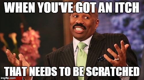 Steve Harvey Meme | WHEN YOU'VE GOT AN ITCH THAT NEEDS TO BE SCRATCHED | image tagged in memes,steve harvey | made w/ Imgflip meme maker