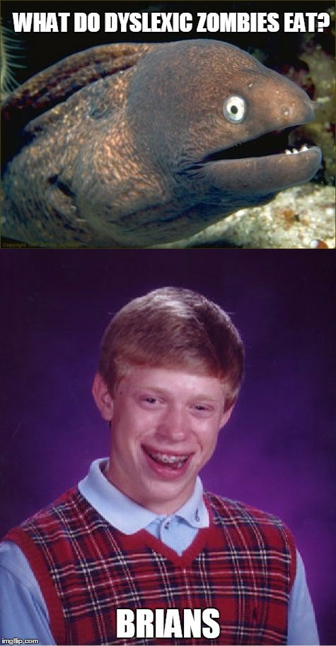 WHAT DO DYSLEXIC ZOMBIES EAT? BRIANS | image tagged in bad joke eel,bad luck brian,original meme | made w/ Imgflip meme maker