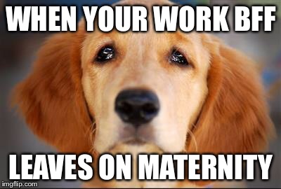 WHEN YOUR WORK BFF; LEAVES ON MATERNITY | image tagged in bff,work | made w/ Imgflip meme maker