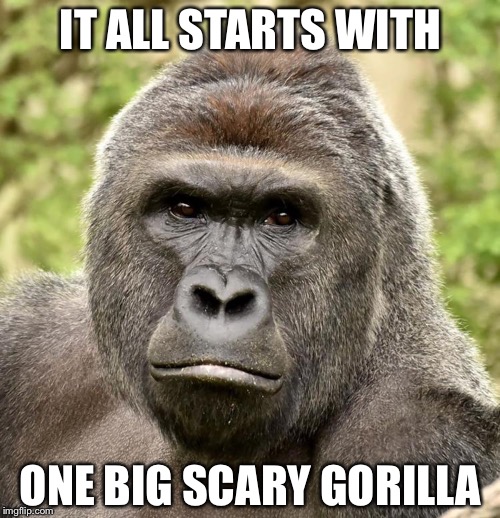Har | IT ALL STARTS WITH ONE BIG SCARY GORILLA | image tagged in har | made w/ Imgflip meme maker