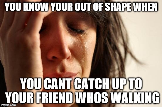 First World Problems | YOU KNOW YOUR OUT OF SHAPE WHEN; YOU CANT CATCH UP TO YOUR FRIEND WHOS WALKING | image tagged in memes,first world problems | made w/ Imgflip meme maker