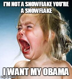 Crybaby GOPer Snowflake | I'M NOT A SNOWFLAKE
YOU'RE A SNOWFLAKE; I WANT MY OBAMA | image tagged in crybaby goper snowflake | made w/ Imgflip meme maker