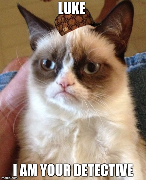 Grumpy Cat Meme | LUKE; I AM YOUR DETECTIVE | image tagged in memes,grumpy cat,scumbag | made w/ Imgflip meme maker
