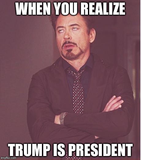 Face You Make Robert Downey Jr Meme | WHEN YOU REALIZE; TRUMP IS PRESIDENT | image tagged in memes,face you make robert downey jr | made w/ Imgflip meme maker