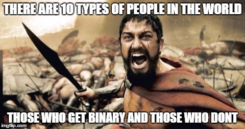 Sparta Leonidas Meme | THERE ARE 1O TYPES OF PEOPLE IN THE WORLD; THOSE WHO GET BINARY AND THOSE WHO DONT | image tagged in memes,sparta leonidas | made w/ Imgflip meme maker