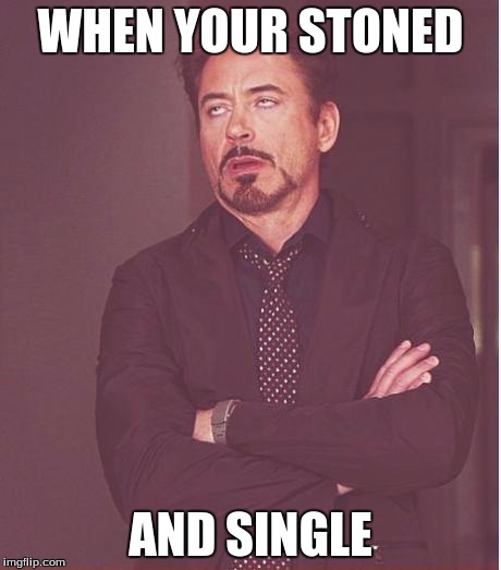 Face You Make Robert Downey Jr | WHEN YOUR STONED; AND SINGLE | image tagged in memes,face you make robert downey jr | made w/ Imgflip meme maker