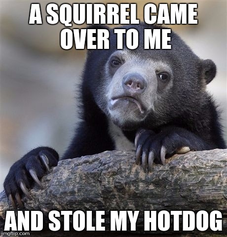 Confession Bear | A SQUIRREL CAME OVER TO ME; AND STOLE MY HOTDOG | image tagged in memes,confession bear | made w/ Imgflip meme maker