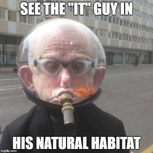 SEE THE "IT" GUY IN; HIS NATURAL HABITAT | image tagged in fish bowl | made w/ Imgflip meme maker