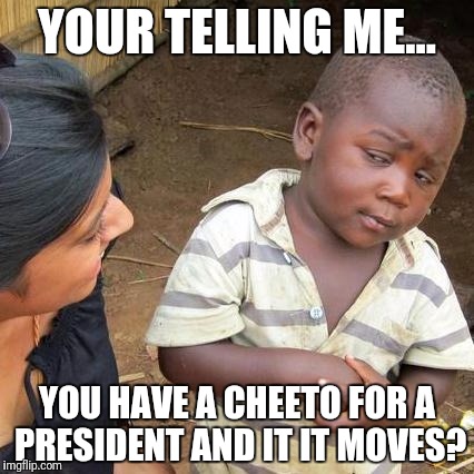 Third World Skeptical Kid Meme | YOUR TELLING ME... YOU HAVE A CHEETO FOR A PRESIDENT AND IT IT MOVES? | image tagged in memes,third world skeptical kid | made w/ Imgflip meme maker