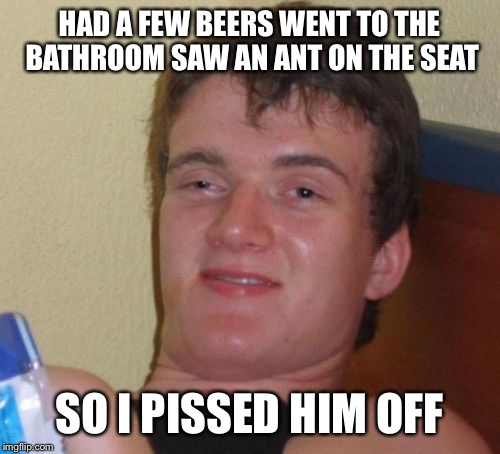 pissing off nature  | HAD A FEW BEERS WENT TO THE BATHROOM SAW AN ANT ON THE SEAT; SO I PISSED HIM OFF | image tagged in memes,10 guy,funny | made w/ Imgflip meme maker