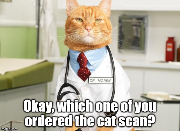 Cat Doctor | Okay, which one of you ordered the cat scan? | image tagged in cat doctor | made w/ Imgflip meme maker