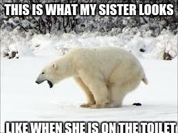 pooping bear | THIS IS WHAT MY SISTER LOOKS; LIKE WHEN SHE IS ON THE TOILET | image tagged in pooping bear | made w/ Imgflip meme maker