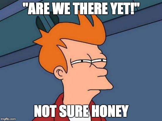 Futurama Fry | "ARE WE THERE YET!"; NOT SURE HONEY | image tagged in memes,futurama fry | made w/ Imgflip meme maker