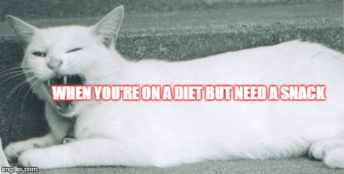 When you are hungry | WHEN YOU'RE ON A DIET BUT NEED A SNACK | image tagged in hungry cat | made w/ Imgflip meme maker