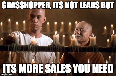 kung fu grasshopper | GRASSHOPPER, ITS NOT LEADS BUT; ITS MORE SALES YOU NEED | image tagged in kung fu grasshopper | made w/ Imgflip meme maker
