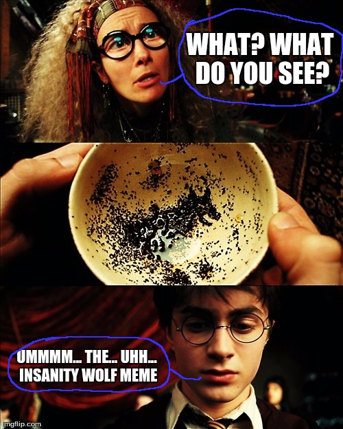harry potter | WHAT? WHAT DO YOU SEE? UMMMM... THE... UHH... INSANITY WOLF MEME | image tagged in harry potter | made w/ Imgflip meme maker