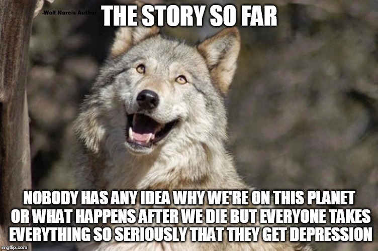 Optimistic Moon Moon Wolf Vanadium Wolf | THE STORY SO FAR; NOBODY HAS ANY IDEA WHY WE'RE ON THIS PLANET OR WHAT HAPPENS AFTER WE DIE BUT EVERYONE TAKES EVERYTHING SO SERIOUSLY THAT THEY GET DEPRESSION | image tagged in optimistic moon moon wolf vanadium wolf | made w/ Imgflip meme maker