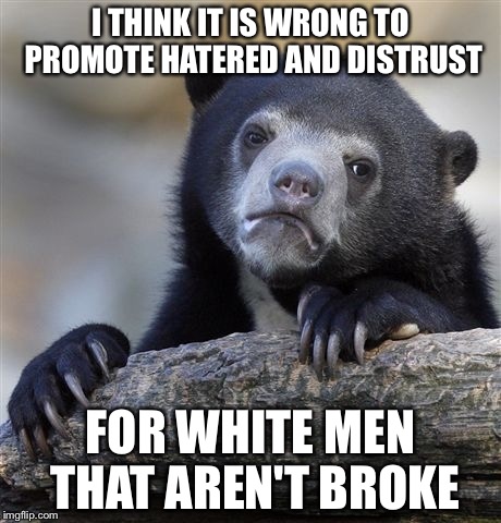 Confession Bear Meme | I THINK IT IS WRONG TO PROMOTE HATERED AND DISTRUST; FOR WHITE MEN THAT AREN'T BROKE | image tagged in memes,confession bear | made w/ Imgflip meme maker