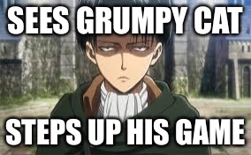 Levi Ackerman | SEES GRUMPY CAT; STEPS UP HIS GAME | image tagged in levi ackerman | made w/ Imgflip meme maker