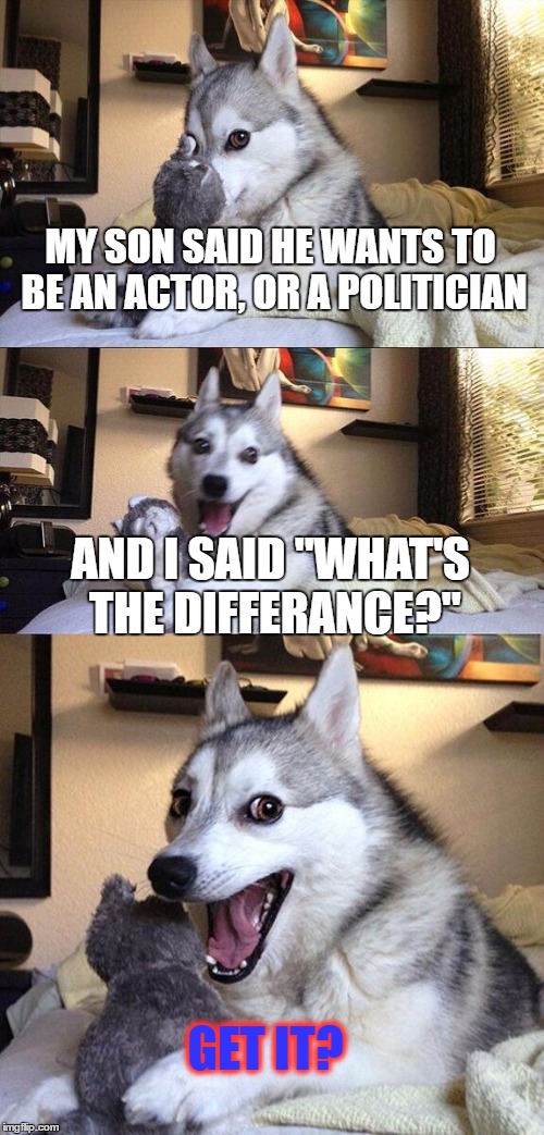 Bad Pun Dog | MY SON SAID HE WANTS TO BE AN ACTOR, OR A POLITICIAN; AND I SAID "WHAT'S THE DIFFERANCE?"; GET IT? | image tagged in memes,bad pun dog | made w/ Imgflip meme maker